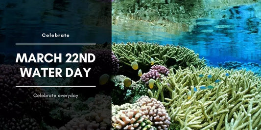 Why We Should Celebrate Water Every Day