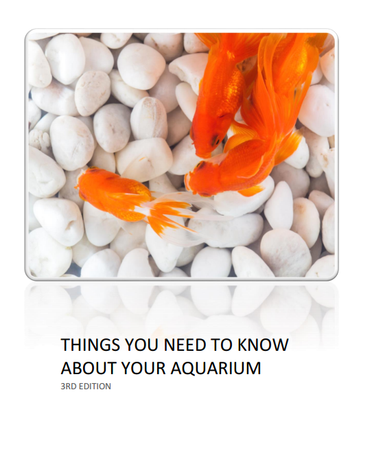 Master Your Aquarium Water Testing