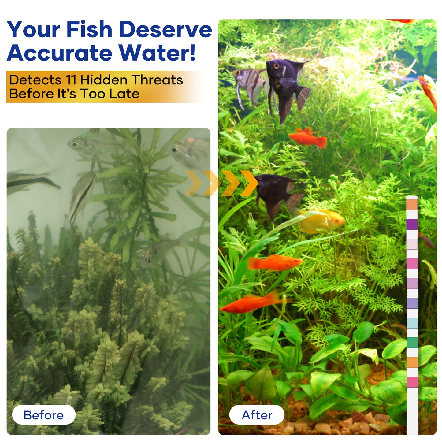 11 in 1 Aquarium Test Kit