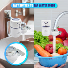 Load image into Gallery viewer, 320-Gallon Faucet Filter System - Bear Design
